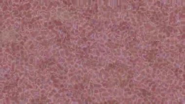 Benzersiz video giriş tasarımı projeleri için detaylı yüzey kalıbı film animasyon stili grafik girişi