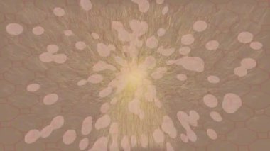 Yaratıcı video düzenleme film tasarımı için benzersiz hareket grafikleri biçimi giriş hareketi video pro