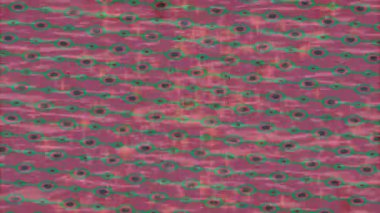 Dijital doku yüzey tasarım biçimi ile modern video animasyonu için gelişmiş hareket grafikleri