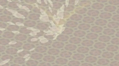 Dijital doku yüzey tasarım biçimi ile modern video animasyonu için gelişmiş hareket grafikleri