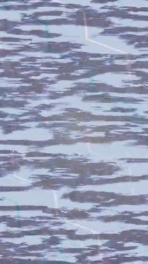 Yaratıcı video düzenleme film arkaplan tasarımı için minimalist organik hareket grafikleri