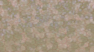 Benzersiz hareket dokusu tasarım sanatı ile profesyonel video düzenleme için modern soyut grafikler