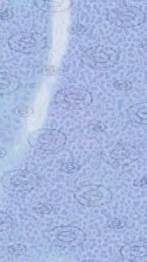 Yaratıcı video düzenleme film arkaplan tasarımı için minimalist organik hareket grafikleri