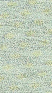 Estetik doku arkaplan tasarımı renkli hareket grafikleri ile moda film giriş profosyoneli