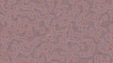 Profesyonel video projeleri sanat tarzı için organik hareketli arkaplan tasarımı