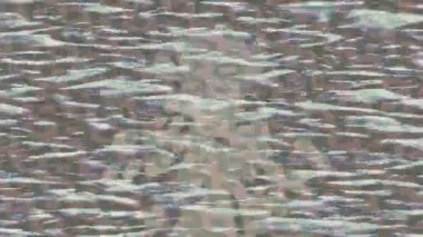 Profesyonel video projeleri sanat tarzı için organik hareketli arkaplan tasarımı