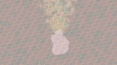 Benzersiz dijital hareket grafiklerine sahip yaratıcı sinematik projeler için yumuşak animasyon yüzeyi