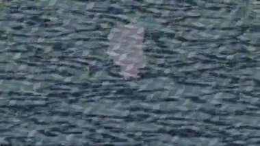 Benzersiz hareket dokusu tasarım sanatı ile profesyonel video düzenleme için modern soyut grafikler