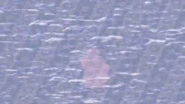 Profesyonel video projeleri sanat tarzı için organik hareketli arkaplan tasarımı