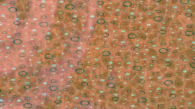 Profesyonel video projeleri sanat tarzı için organik hareketli arkaplan tasarımı