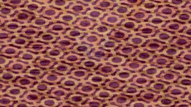 Lüks hareket projeleri için soyut tasarım stili animasyonu olan üst düzey dijital doku