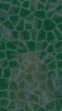 Dijital doku yüzey tasarım biçimi ile modern video animasyonu için gelişmiş hareket grafikleri