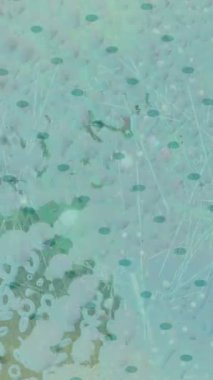 Yaratıcı video düzenleme film arkaplan tasarımı için minimalist organik hareket grafikleri