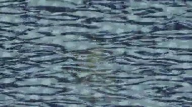 Benzersiz dijital hareket grafiklerine sahip yaratıcı sinematik projeler için yumuşak animasyon yüzeyi