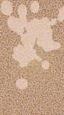 Lüks hareket projeleri için soyut tasarım stili animasyonu olan üst düzey dijital doku