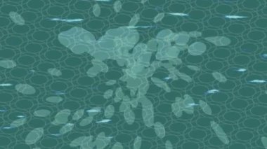 Dijital doku yüzey tasarım biçimi ile modern video animasyonu için gelişmiş hareket grafikleri