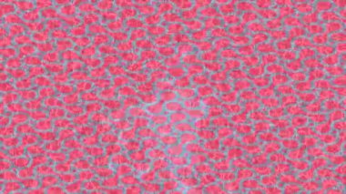 Benzersiz dijital hareket grafiklerine sahip yaratıcı sinematik projeler için yumuşak animasyon yüzeyi