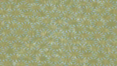 Modern medya üretimi için fütüristik dijital soyut doku sinematik tarz hareketli grafik ögesi