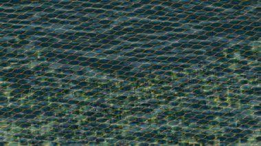 Benzersiz dijital animasyon tarzı grafikleri olan yaratıcı ortam tasarımı için yenilikçi hareket dokusu