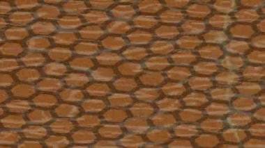 Benzersiz hareket dokusu tasarım sanatı ile profesyonel video düzenleme için modern soyut grafikler