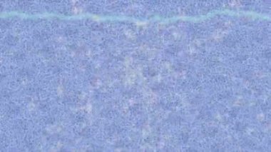 Yaratıcı video düzenleme film tasarımı için benzersiz hareket grafikleri biçimi giriş hareketi video pro