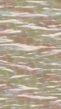 Benzersiz dijital animasyon tarzı grafikleri olan yaratıcı ortam tasarımı için yenilikçi hareket dokusu