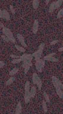 Lüks hareket tasarımı üst düzey video projeleri ve dijital sanat için zarif, pürüzsüz bir dokusu var.