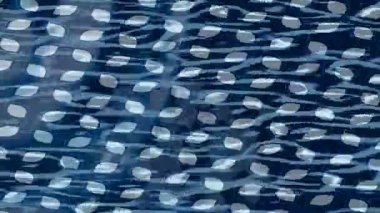 Benzersiz hareket dokusu tasarım sanatı ile profesyonel video düzenleme için modern soyut grafikler