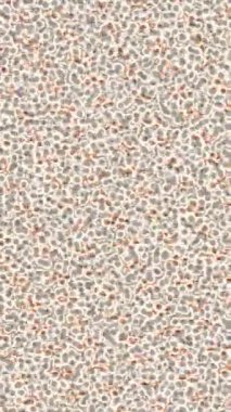 Benzersiz dijital hareket grafiklerine sahip yaratıcı sinematik projeler için yumuşak animasyon yüzeyi