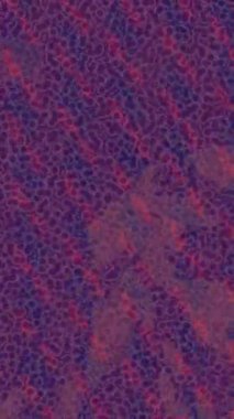 Modern medya üretimi için fütüristik dijital soyut doku sinematik tarz hareketli grafik ögesi