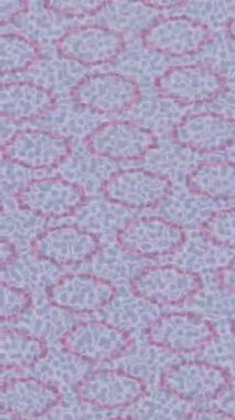 Yaratıcı video düzenleme film tasarımı için benzersiz hareket grafikleri biçimi giriş hareketi video pro