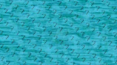 Lüks hareket projeleri için soyut tasarım stili animasyonu olan üst düzey dijital doku