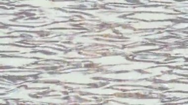 Lüks hareket tasarımı üst düzey video projeleri ve dijital sanat için zarif, pürüzsüz bir dokusu var.