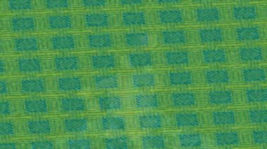 Profesyonel video projeleri sanat tarzı için organik hareketli arkaplan tasarımı