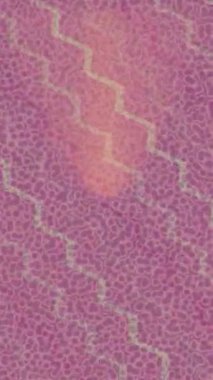 Yaratıcı video düzenleme film tasarımı için benzersiz hareket grafikleri biçimi giriş hareketi video pro