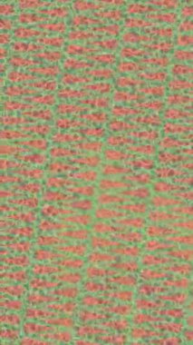 Benzersiz video giriş tasarımı projeleri için detaylı yüzey kalıbı film animasyon stili grafik girişi