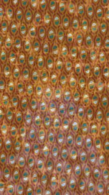 Organik desenli yüzey giriş stili video film sanatı ile soyut arkaplan tasarımı