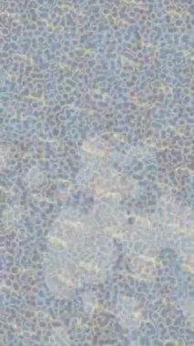 Yaratıcı video düzenleme film arkaplan tasarımı için minimalist organik hareket grafikleri