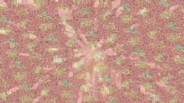 Organik desenli yüzey giriş stili video film sanatı ile soyut arkaplan tasarımı