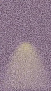 Benzersiz video giriş tasarımı projeleri için detaylı yüzey kalıbı film animasyon stili grafik girişi