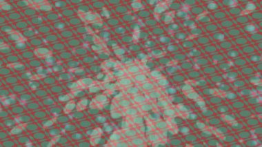 Benzersiz dijital hareket grafiklerine sahip yaratıcı sinematik projeler için yumuşak animasyon yüzeyi