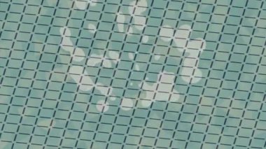 Yaratıcı video düzenleme film arkaplan tasarımı için minimalist organik hareket grafikleri