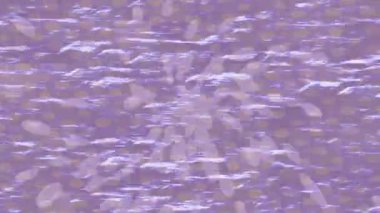 Yaratıcı video düzenleme film tasarımı için benzersiz hareket grafikleri biçimi giriş hareketi video pro