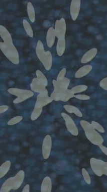 Yaratıcı video düzenleme film tasarımı için benzersiz hareket grafikleri biçimi giriş hareketi video pro