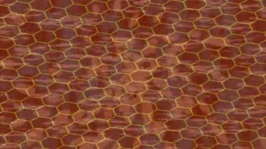 Profesyonel video projeleri sanat tarzı için organik hareketli arkaplan tasarımı