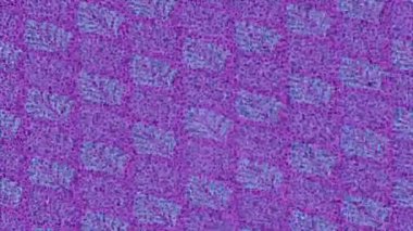 Benzersiz hareket dokusu tasarım sanatı ile profesyonel video düzenleme için modern soyut grafikler