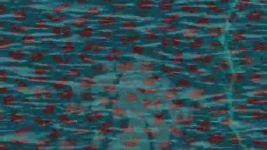 Soyut hareket desenli fütüristik video üretimi için dinamik dijital arkaplan