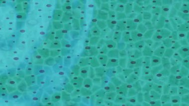 Soyut hareket desenli fütüristik video üretimi için dinamik dijital arkaplan