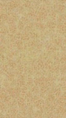 Benzersiz video giriş tasarımı projeleri için detaylı yüzey kalıbı film animasyon stili grafik girişi