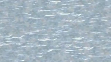 Lüks hareket tasarımı üst düzey video projeleri ve dijital sanat için zarif, pürüzsüz bir dokusu var.